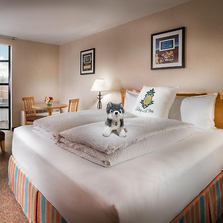 Staypineapple, University Inn, University District Seattle Dış mekan fotoğraf